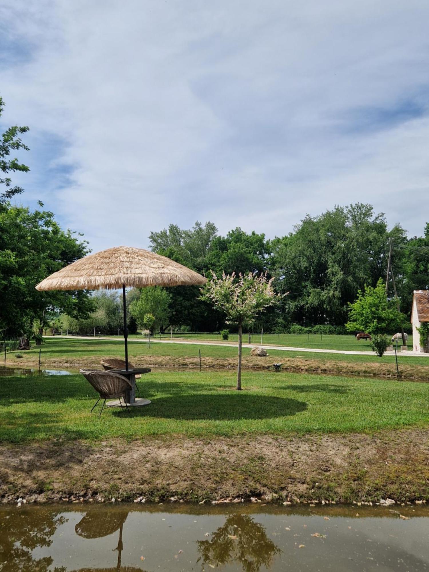 Maison De Campagne Soings-en-Sologne 외부 사진