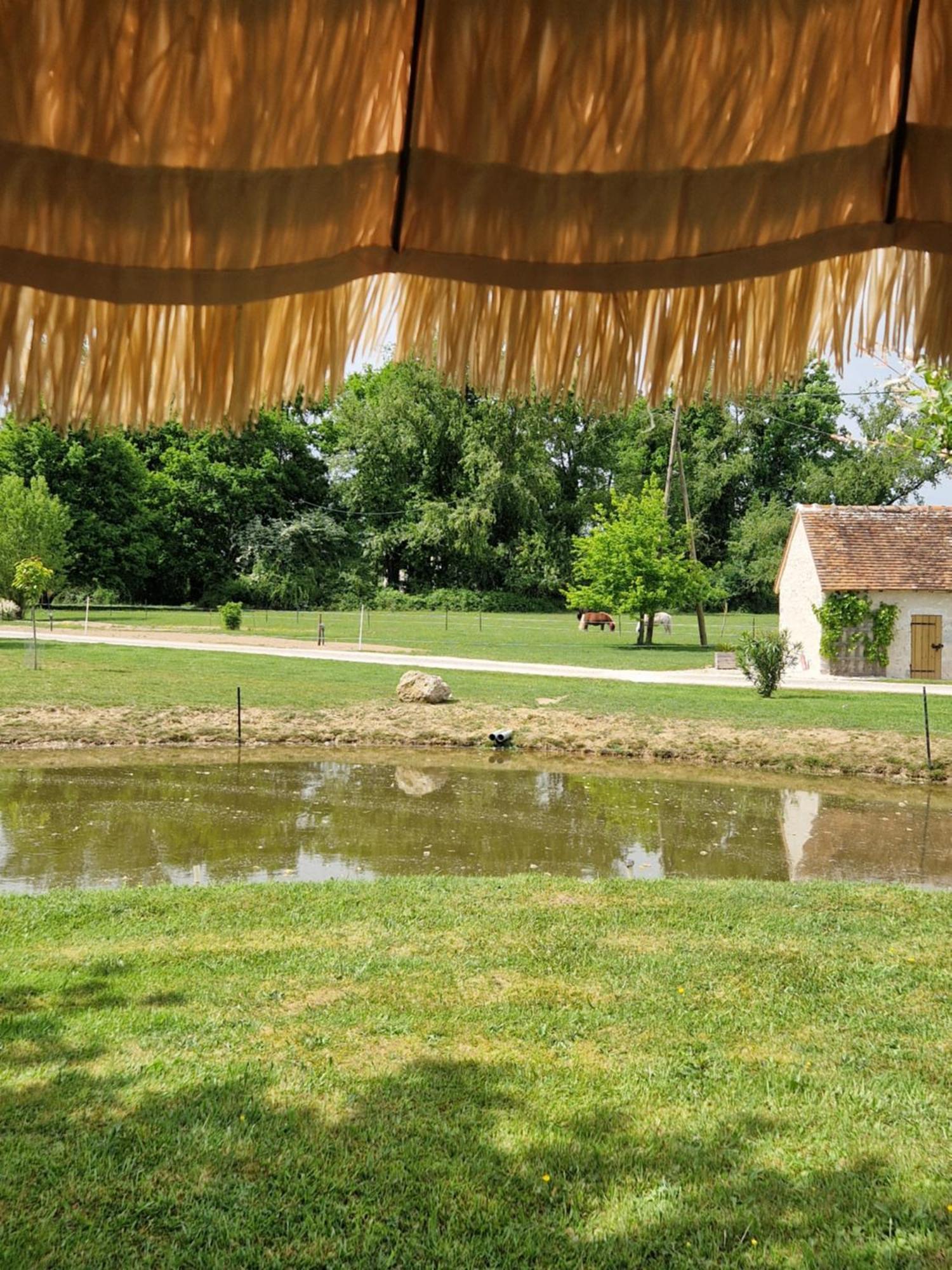 Maison De Campagne Soings-en-Sologne 외부 사진